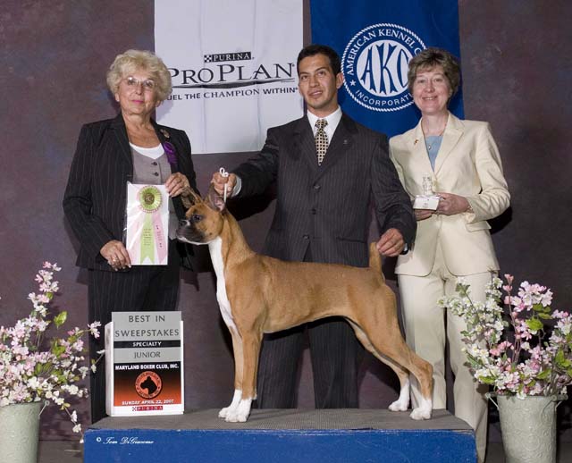 Jenny Jr Sweeps Md Boxer Club Apr 22 2007