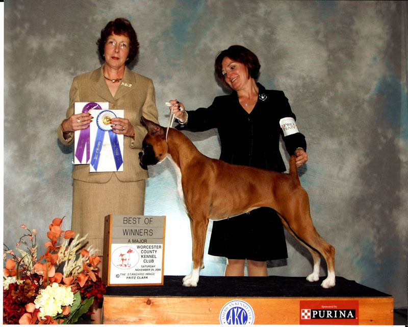 Jenny and Kim at the Worcester Kennel Club, Nov. 29, 2008C