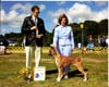 Jenny and LuAnn with Best BBE in breed at the Cape Cod show, Sept 2007