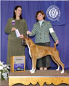 Jennys Winners Bitch, York Kennel Club, Mar. 13, 2009