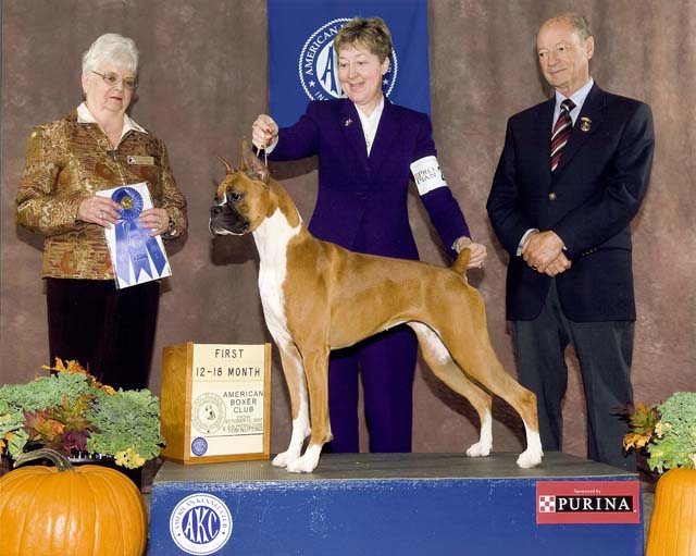 First Place in the class at the 2007 Regional